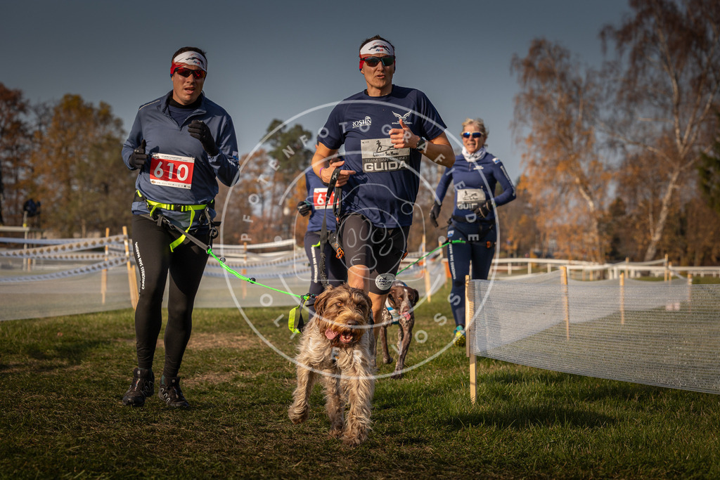 CaniXpix_0L8A0158 | Hundefotografie, Tierfotograf, Pfotenfotografie, Fotoshooting Hund, Hunde Portrait, Hundesport, Hundeportraits, Heideshooting, Hunde, Sportfotograf, Hundefotograf, Turnierhundsport, THS,  - Realisiert mit Pictrs.com