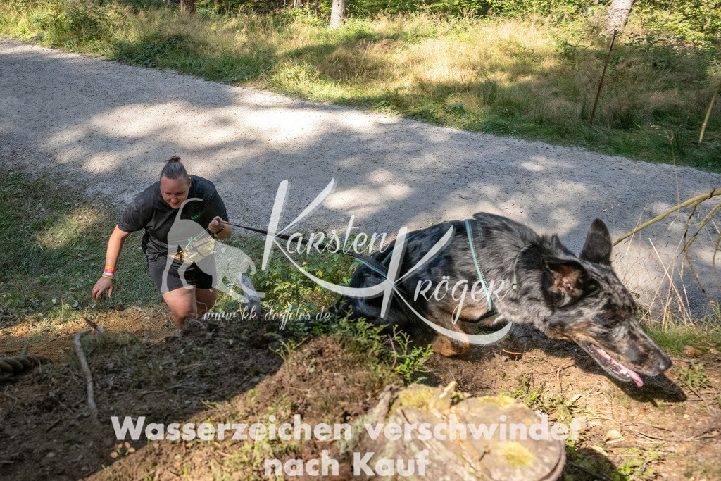 1241_ZZ90014 | kk-dogfotos