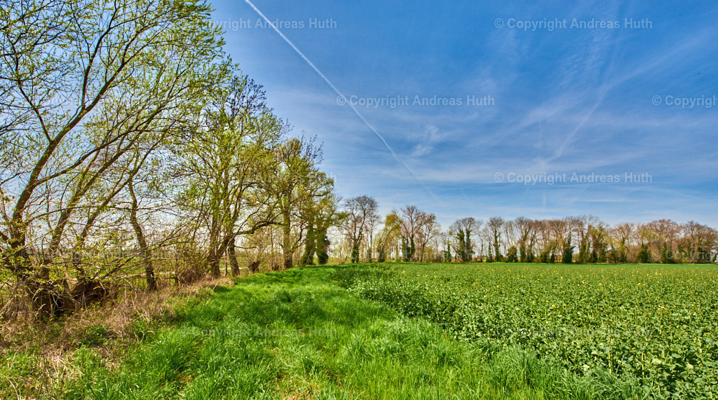 Am Elsterfloßgraben bei Kleingörschen 03 | Bedeutsame Landschaften Deutschlands - Realisiert mit Pictrs.com