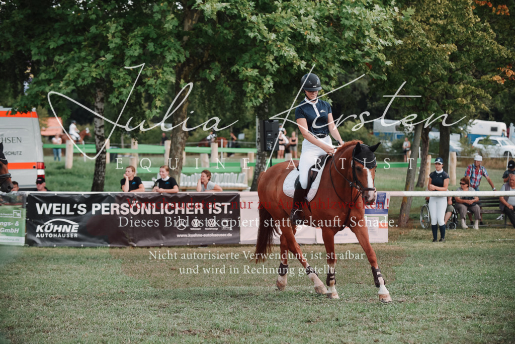 DSC_5593 | Pferde- und Turnierfotografie in Westsachsen. Pferdeportraits, Auftragszeichnungen und intuitive Kunst.