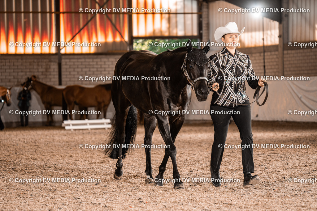 ZH100116 | dv-media-shop - Realisiert mit Pictrs.com