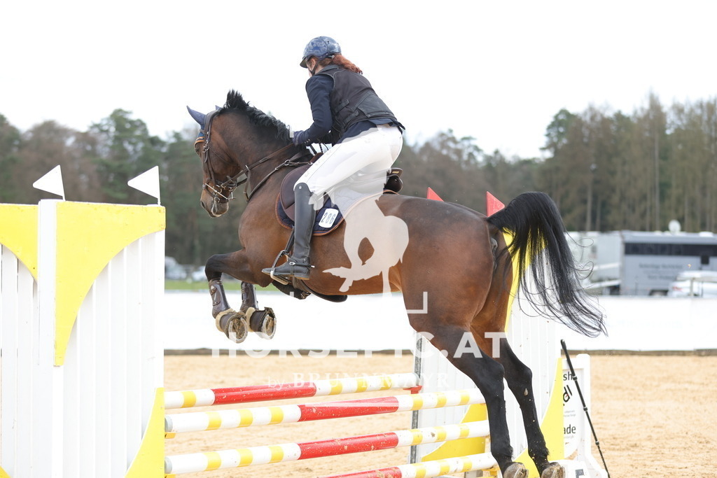 0P6A7954 | Willkommen bei Brunnmayr - Design & Fotografie – Ihrem Spezialisten für Reitturniere und Pferdeveranstaltungen in Oberösterreich, Salzburg und Bayern! Seit über 17 Jahren sind wir leidenschaftlich dabei.