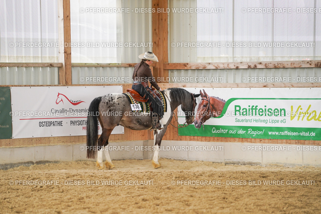 DSC02348 | Pferdegrafie