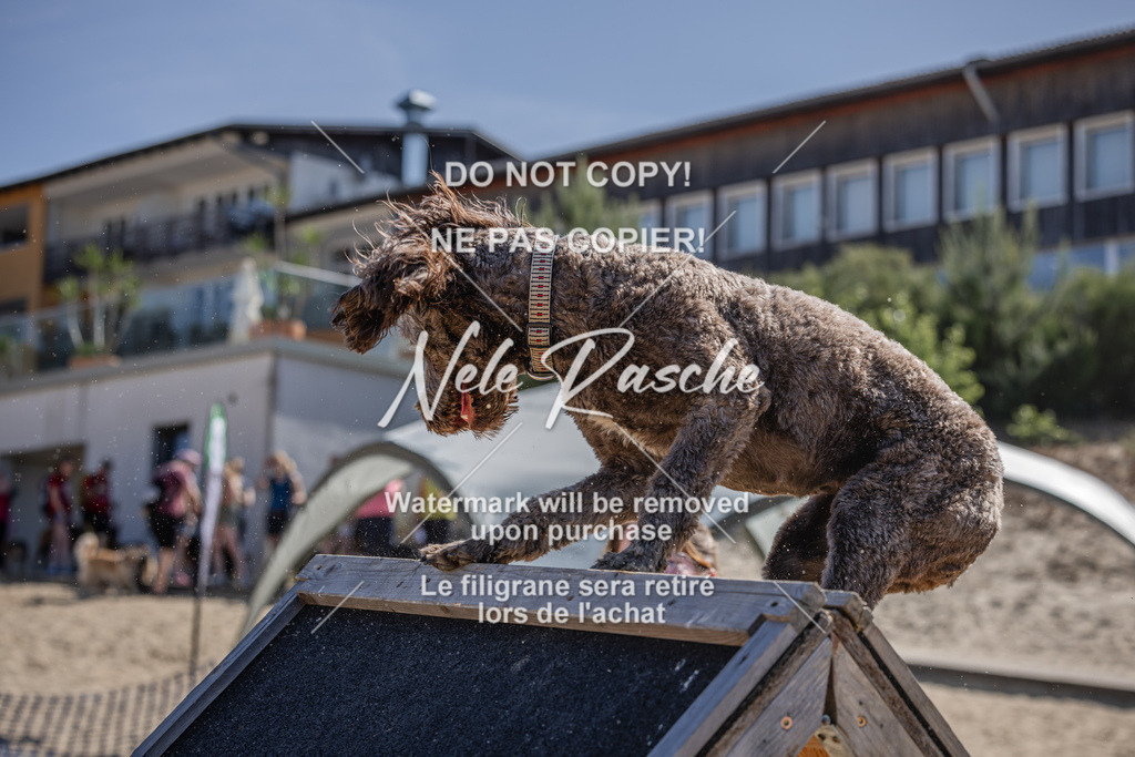 nelerasche_saBeachility_358 | nelerasche