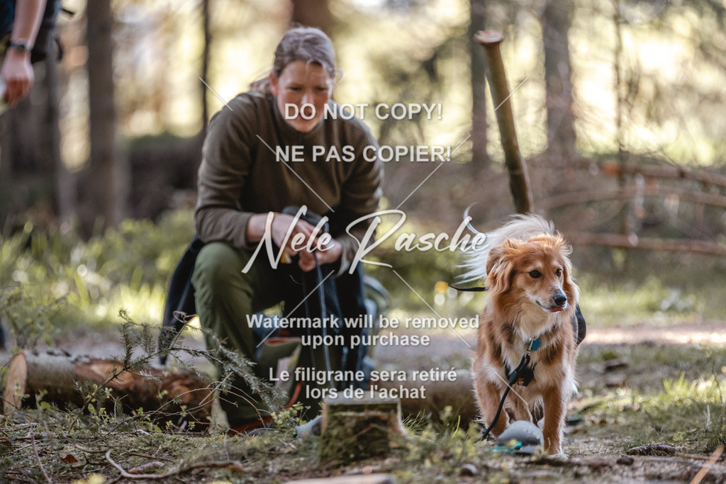 6Z1A0788 | nelerasche