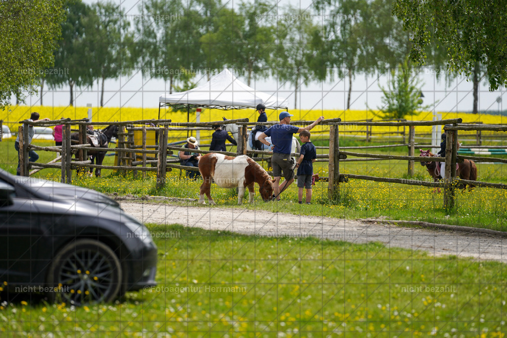 20230521-FAH06205 | Frühjahrsturnier, Landsberg am Lech, 2023, Reitclub Landsberg, Turnierbilder, Fotos Turnier Landsberg, Fotoagentur Herrmann, Turnierfotografen Bayern, Reitsport Fotograf, Pferde Fotograf