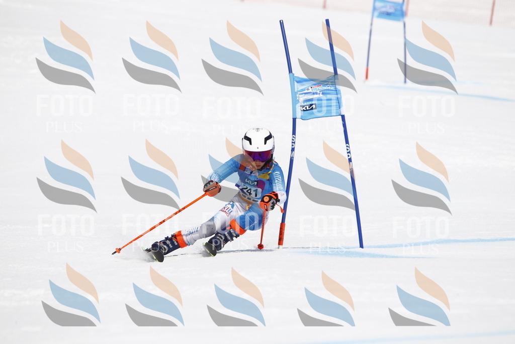 _U3G6118 | holidayphoto