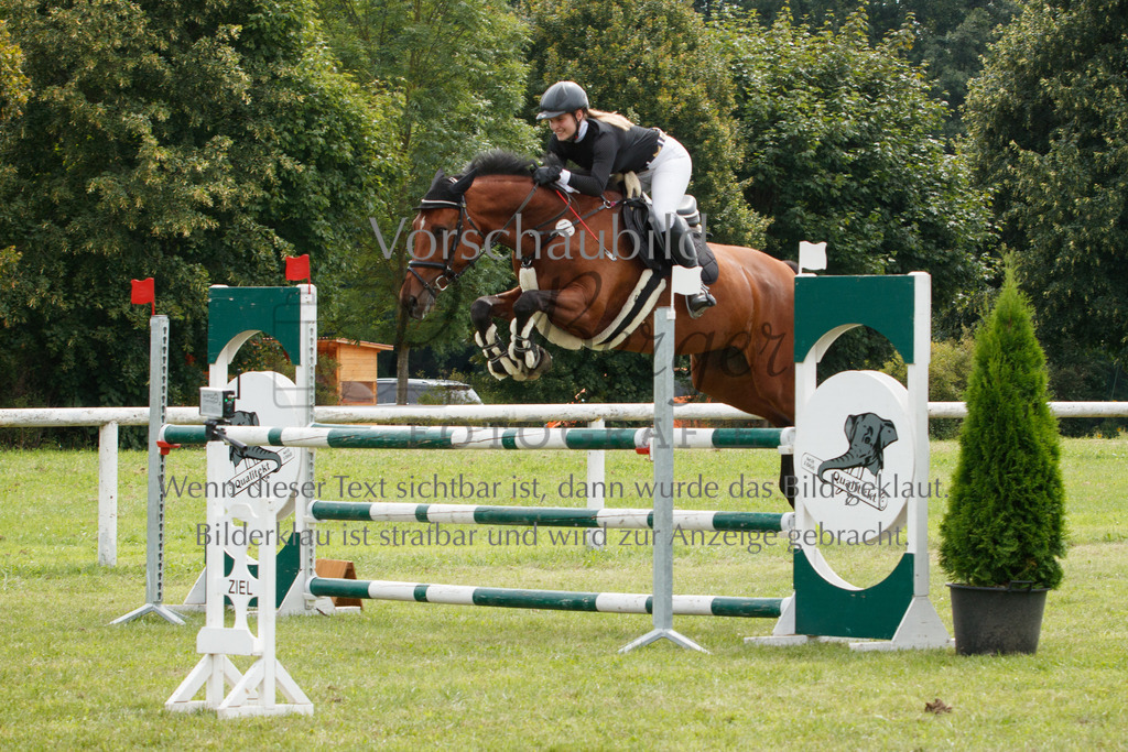 IMG_3122 | P. Berger Fotografie - Realisiert mit Pictrs.com