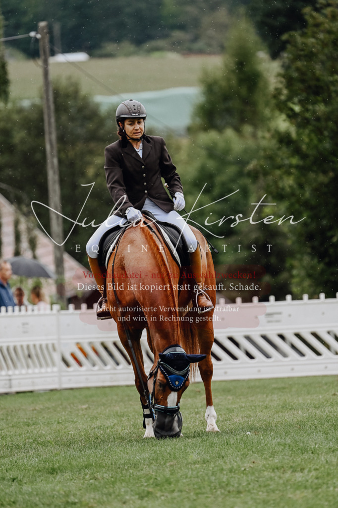 DSC_6962 | Pferde- und Turnierfotografie in Westsachsen. Pferdeportraits, Auftragszeichnungen und intuitive Kunst.