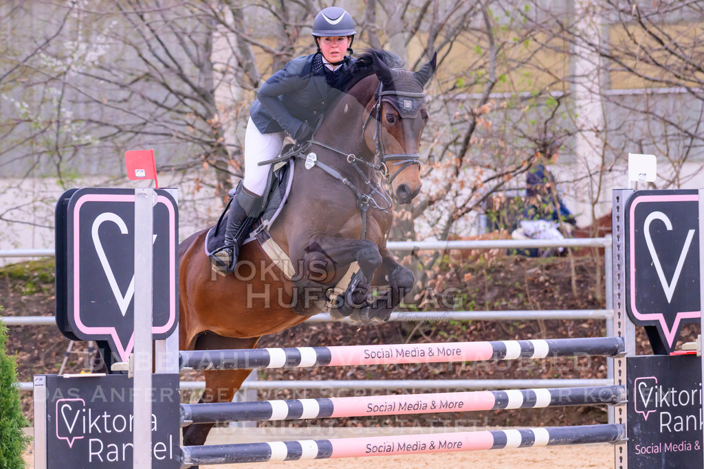 10042026-Mammendorf-Prfg19-0153 | Fokus Hufschlag Fotografie - Realisiert mit Pictrs.com