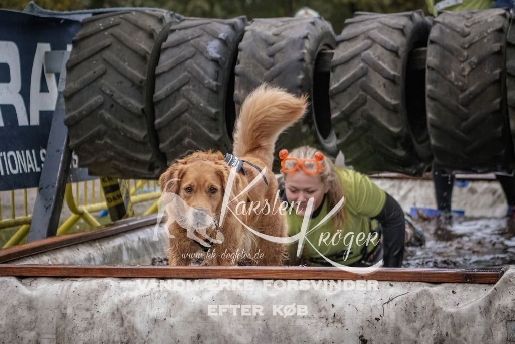 1708_ZZ90028 | kk-dogfotos