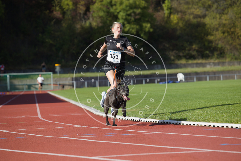 0L8A9832 | Hundefotografie, Tierfotograf, Pfotenfotografie, Fotoshooting Hund, Hunde Portrait, Hundesport, Hundeportraits, Heideshooting, Hunde, Sportfotograf, Hundefotograf, Turnierhundsport, THS,  - Realisiert mit Pictrs.com