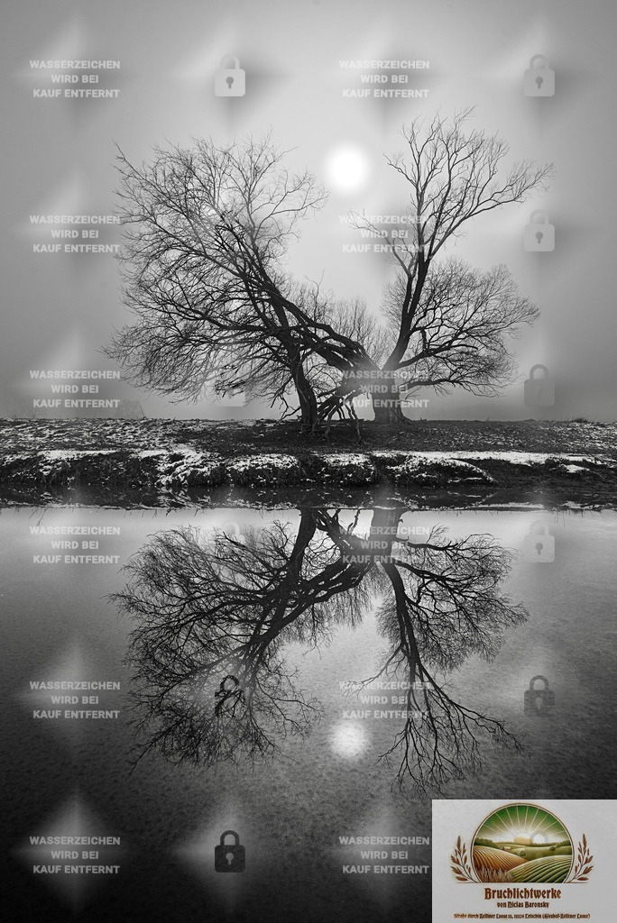 Mystisch III | Professioneller Fotograf mit 10 Jahren Erfahrung. Landschafts- und Hochzeitsfotografie im Oderbruch. Workshops und beeindruckende Bilder für besondere Momente.