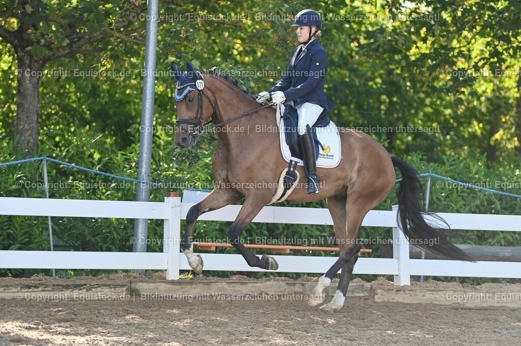 20230715_06_Dressurpferdeprfg. Kl.A_0215 | equistock