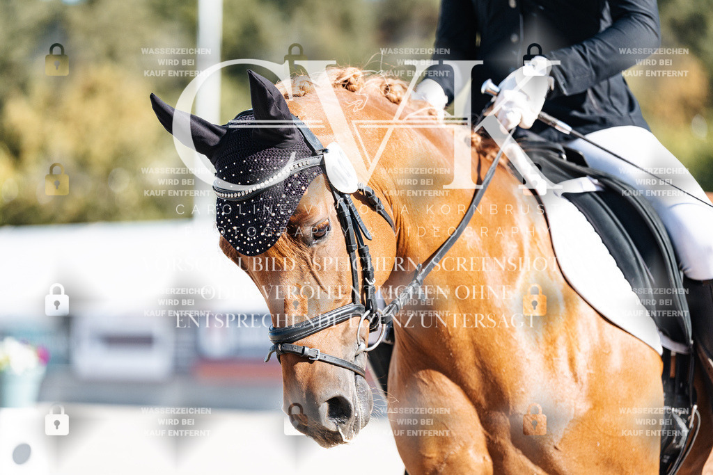 CK907869 | Turnierfotografie Pferdefotografie Trier Rheinland-Pfalz Pferdesport Reitsport Tierfotografie Sportfotografie Pferdevideo Pferdevideografie Equestrianvideography equestrianphotography  - Realisiert mit Pictrs.com