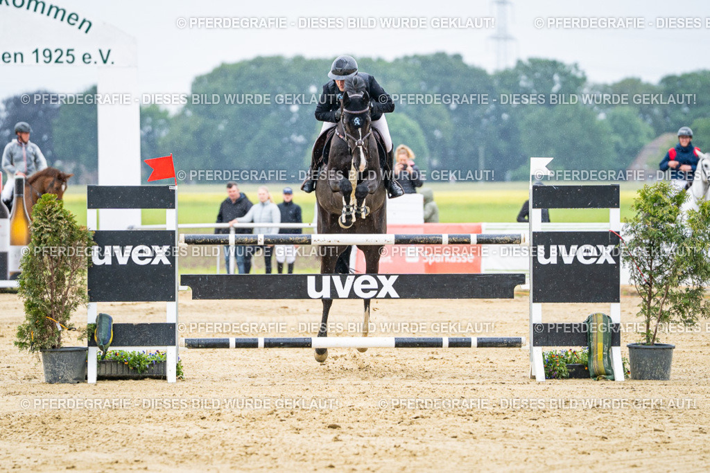 DSC07972 | Pferdegrafie