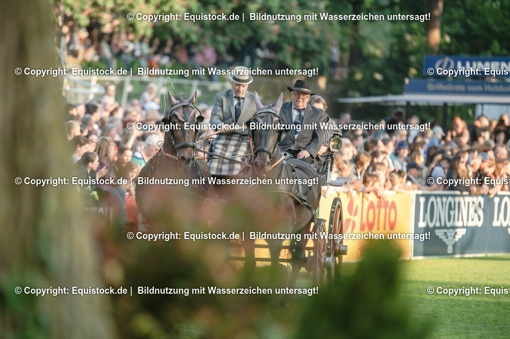 20230526_Pferdenacht_0151 | equistock