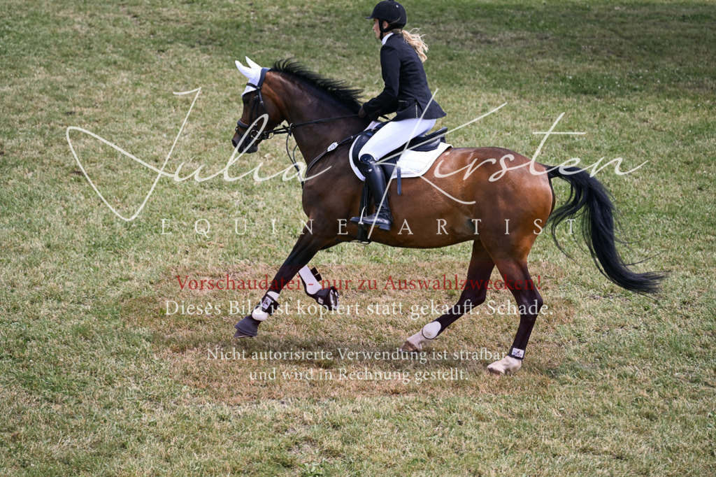DSC_9879 | Pferde- und Turnierfotografie in Westsachsen. Pferdeportraits, Auftragszeichnungen und intuitive Kunst.