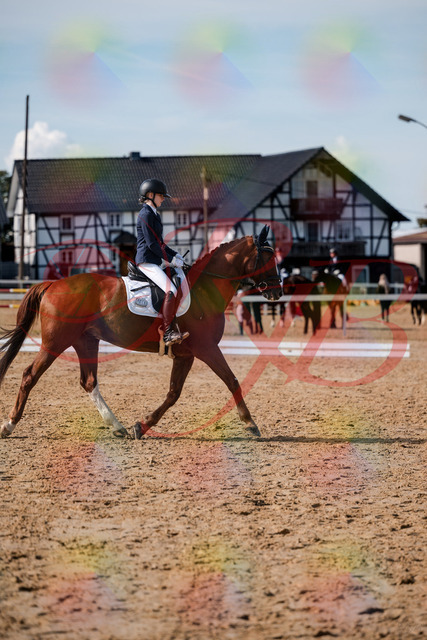 2026_10_03_Siefer-Hof_132844_Z63_89881253 | Professionelle Reitsport-, Turnier- und Eventfotografie von Robert Broda. Galerien mit ausgewählten und bearbeiteten Bildern direkt online ansehen und bestellen.
