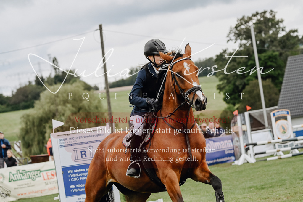 DSC_6795 | Pferde- und Turnierfotografie in Westsachsen. Pferdeportraits, Auftragszeichnungen und intuitive Kunst.