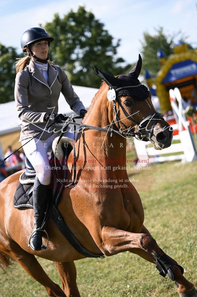 DSC_1309 | Pferde- und Turnierfotografie in Westsachsen. Pferdeportraits, Auftragszeichnungen und intuitive Kunst.