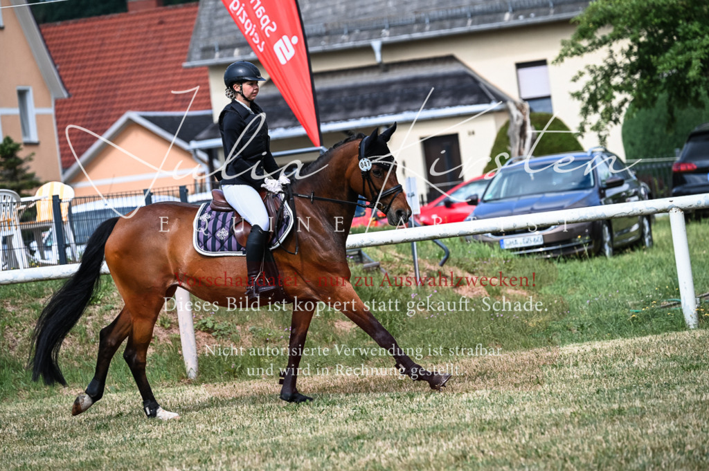 DSC_8409 | Pferde- und Turnierfotografie in Westsachsen. Pferdeportraits, Auftragszeichnungen und intuitive Kunst.