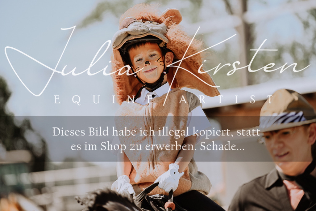 DSC_9166 | Pferde- und Turnierfotografie in Westsachsen. Pferdeportraits, Auftragszeichnungen und intuitive Kunst.