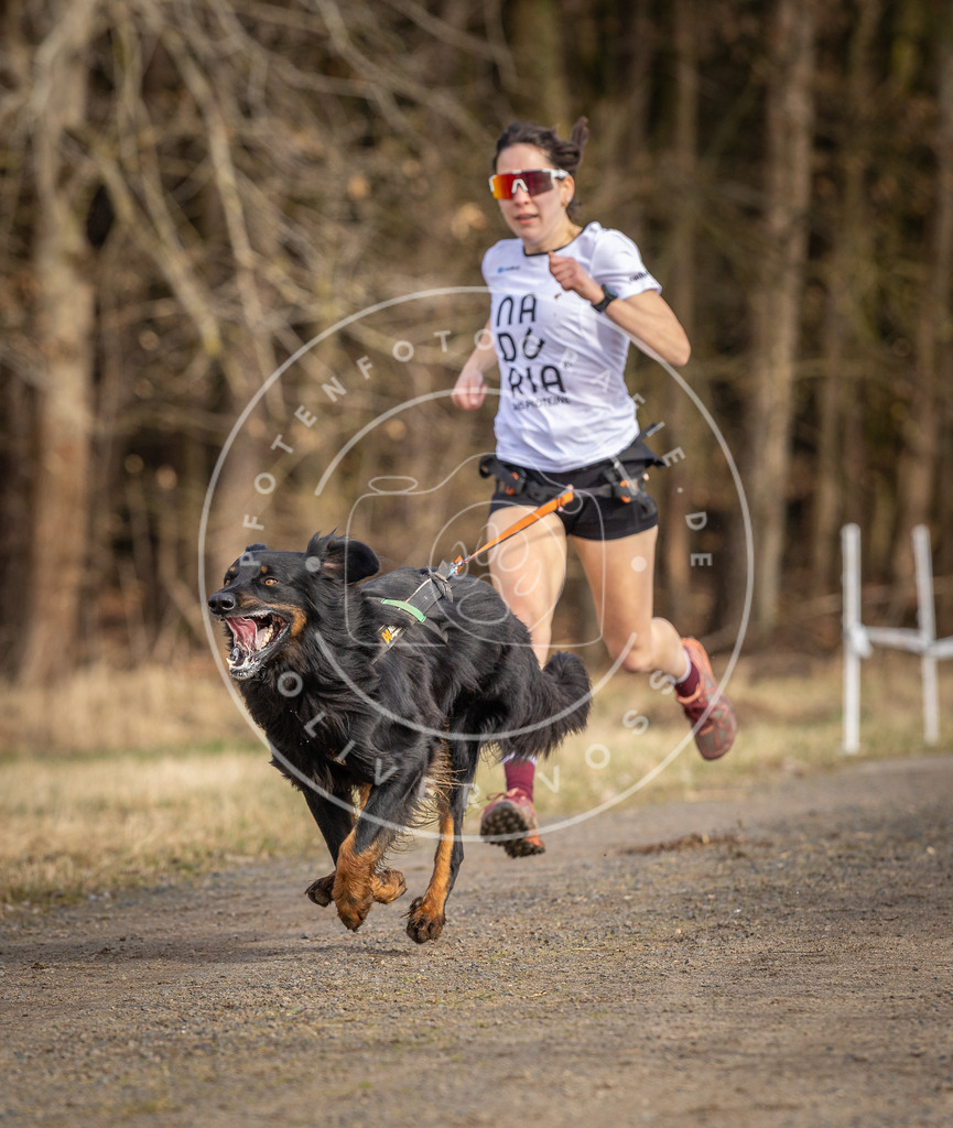 DV3A3631 | Hundefotografie, Tierfotograf, Pfotenfotografie, Fotoshooting Hund, Hunde Portrait, Hundesport, Hundeportraits, Heideshooting, Hunde, Sportfotograf, Hundefotograf, Turnierhundsport, THS,  - Realisiert mit Pictrs.com