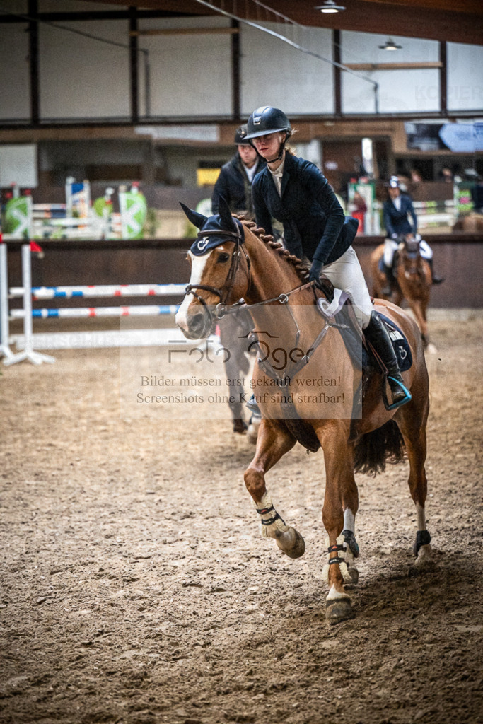 DOS_0057 | Entdecke hochwertige Reitturnierfotos von Foto Oger. Professionell, emotional und authentisch – jetzt Lieblingsmomente im Shop bestellen.Deutschlandweite Turnierfotografie. - Realisiert mit Pictrs.com