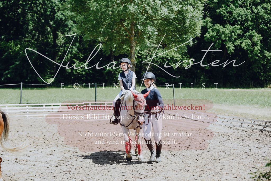 DSC_2617 | Pferde- und Turnierfotografie in Westsachsen. Pferdeportraits, Auftragszeichnungen und intuitive Kunst.