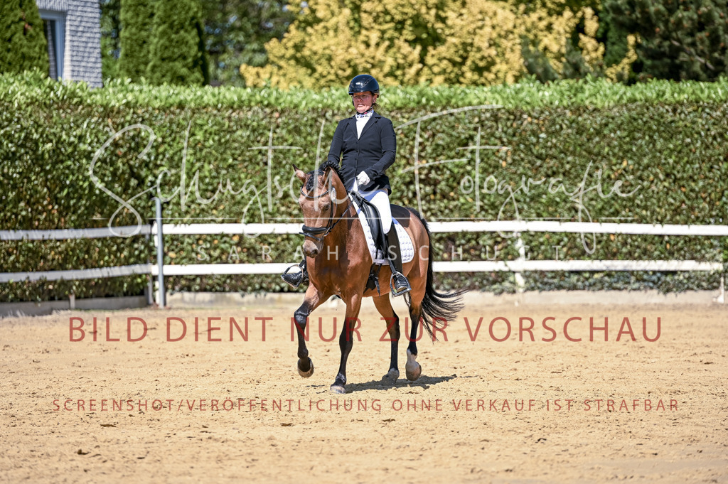 Schugtsche-Aluta25-49.Dressurpferdeprf.A-413 | Schugtsche Fotografie - Realisiert mit Pictrs.com