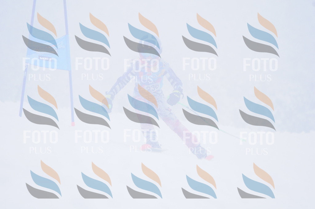 C2470 | holidayphoto