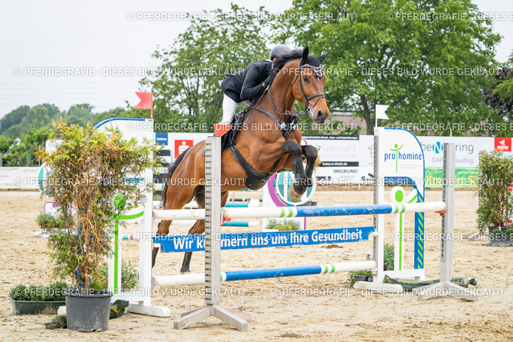 DSC00334 | Pferdegrafie