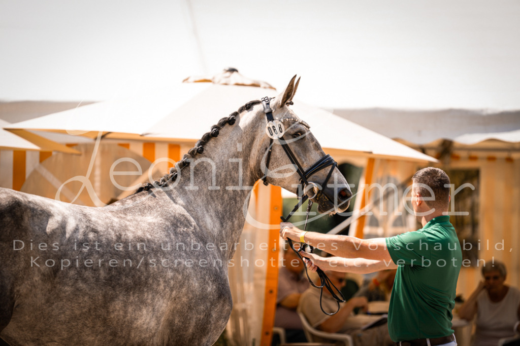 1.Fr00077 | Leoni Ertmer Photography - Realisiert mit Pictrs.com