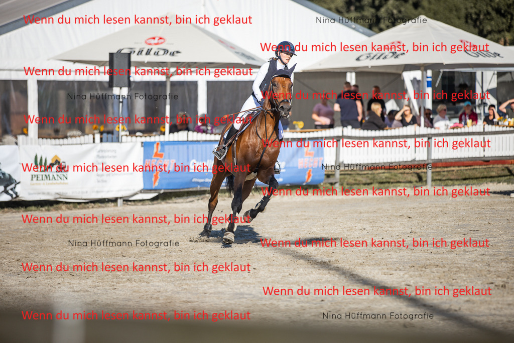 BK1A7696 | Turnierbilder Turnierfotos Nina Hüffmann Turnierfotografie Pferdefotografie Tierzeichnung Haustierzeichnung Pferdezeichnung Hundezeichnung Videograf  - Realisiert mit Pictrs.com