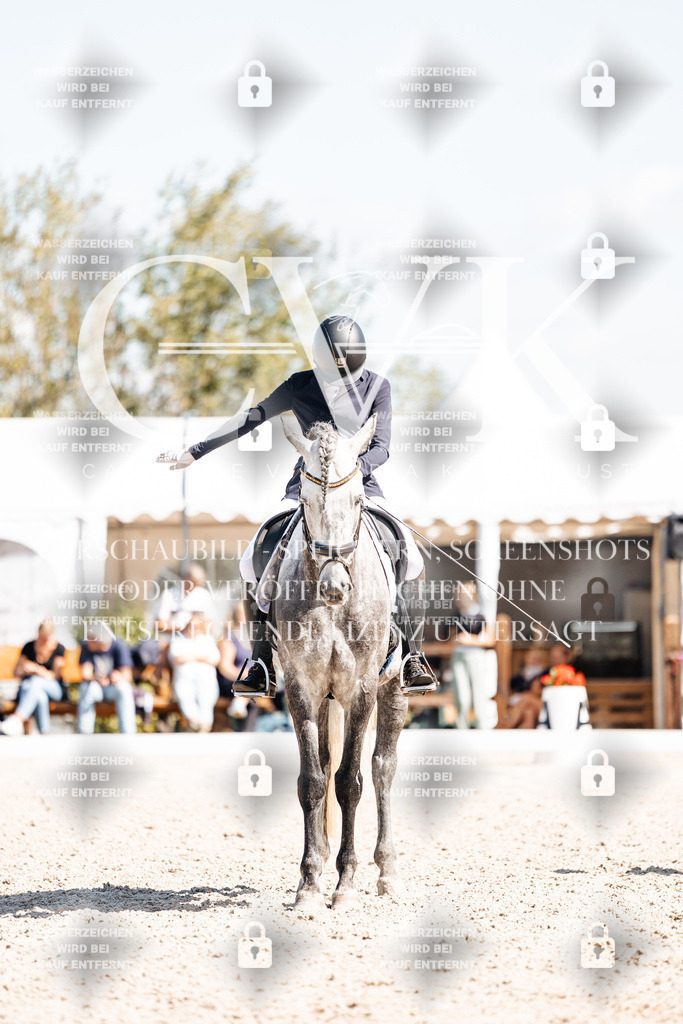 CK903774 | Turnierfotografie Pferdefotografie Trier Rheinland-Pfalz Pferdesport Reitsport Tierfotografie Sportfotografie Pferdevideo Pferdevideografie Equestrianvideography equestrianphotography  - Realisiert mit Pictrs.com
