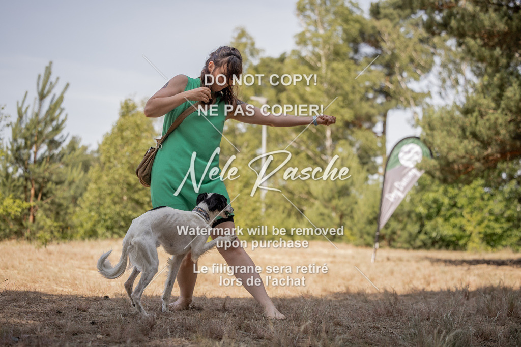 nelerasche_soDD2_436 | nelerasche