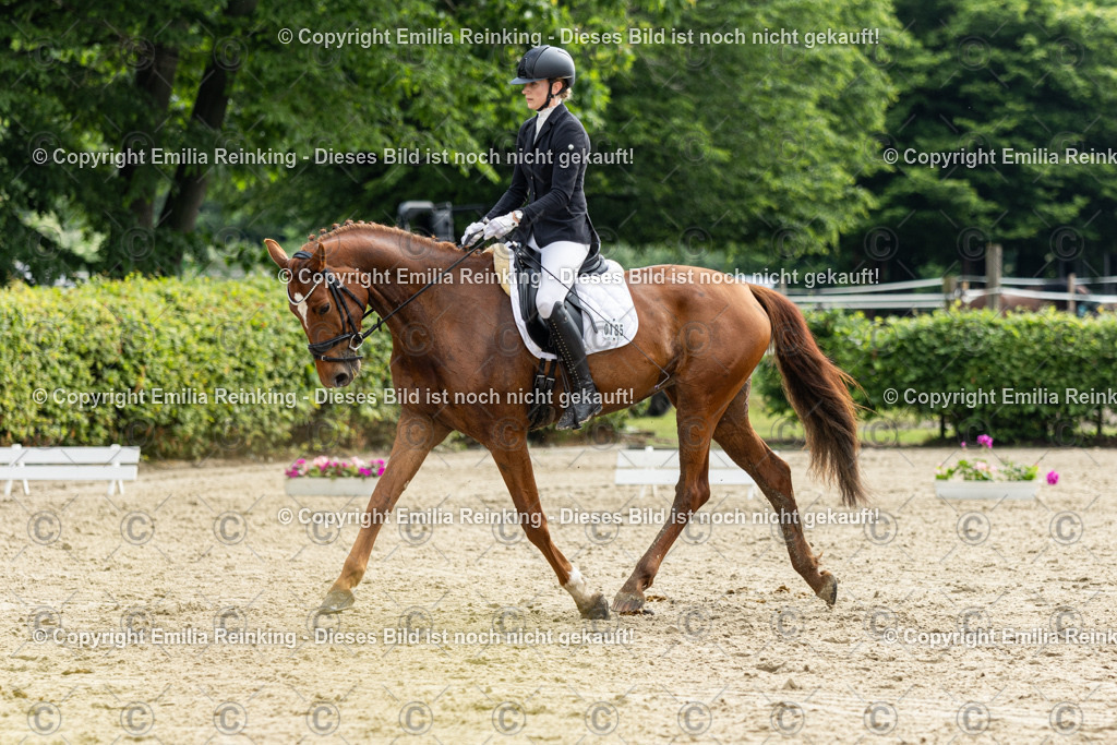 CL5A4585 | Emilia Reinking Fotografie - Realisiert mit Pictrs.com