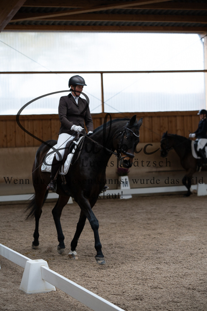 A7V02295 | Pferdefotograf