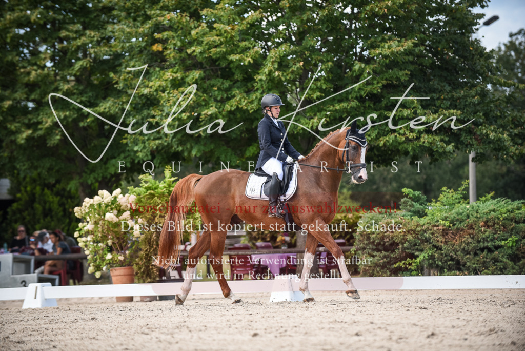 DSC_9332 | Pferde- und Turnierfotografie in Westsachsen. Pferdeportraits, Auftragszeichnungen und intuitive Kunst.