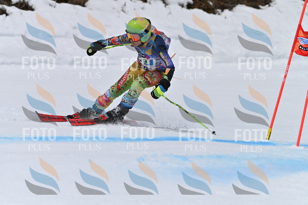 BGV_3840 | holidayphoto