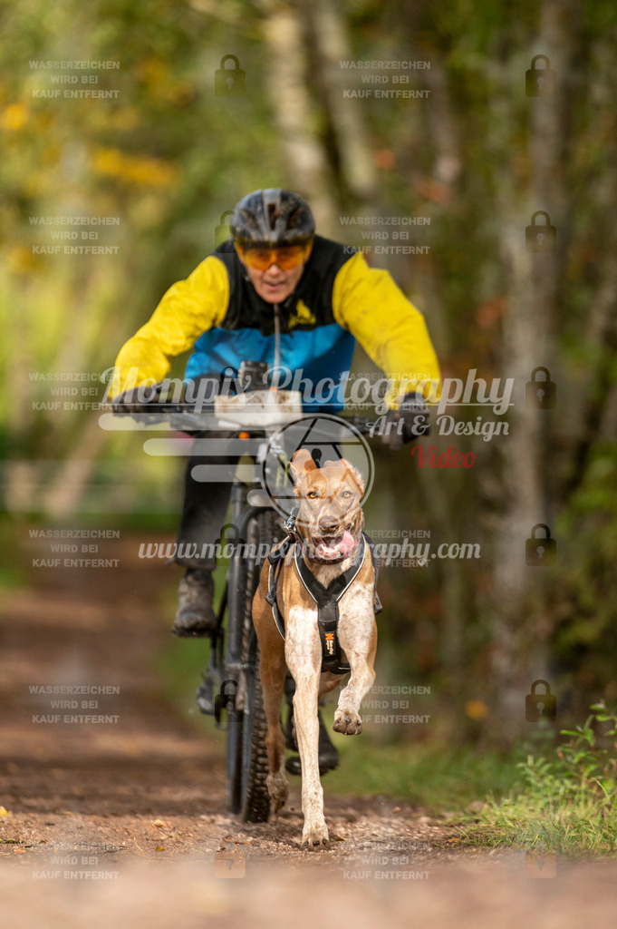 TSB_2023_E4_Bike-76 | PayLife