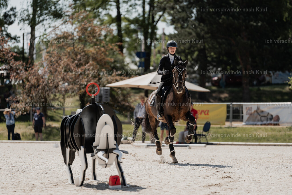 WE_SP_Stoib_309_PI2025_1484 | Pferd International München 2025