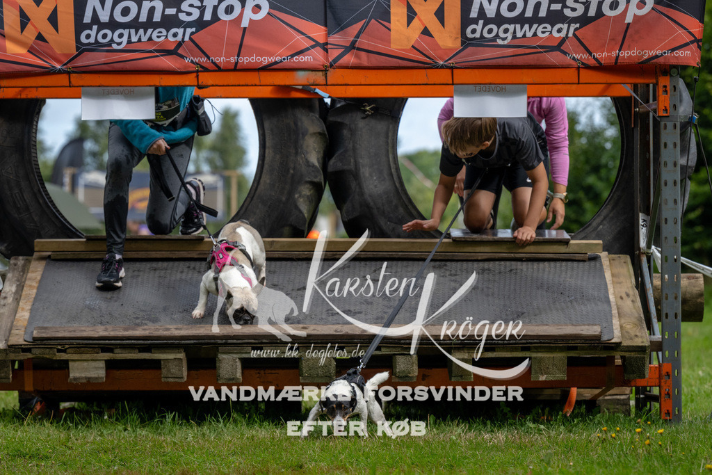 1029_ZZ91097 | kk-dogfotos