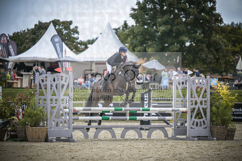 DOS_0249 | Entdecke hochwertige Reitturnierfotos von Foto Oger. Professionell, emotional und authentisch – jetzt Lieblingsmomente im Shop bestellen.Deutschlandweite Turnierfotografie. - Realisiert mit Pictrs.com