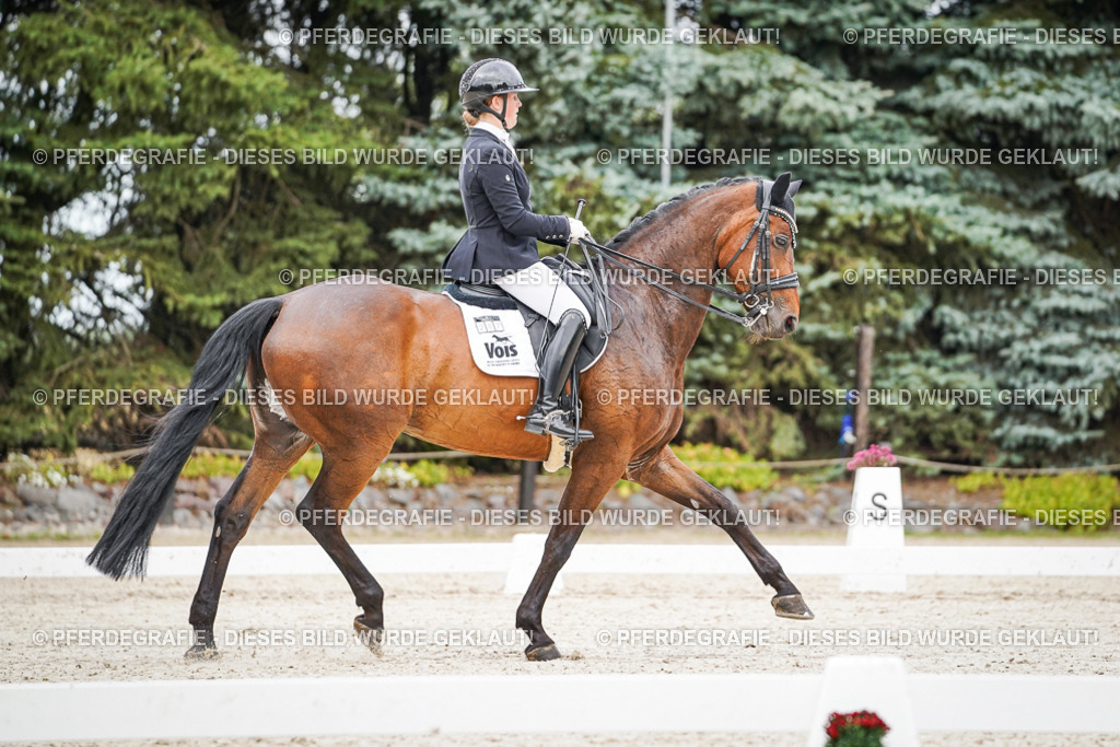 DSC08317 | Pferdegrafie