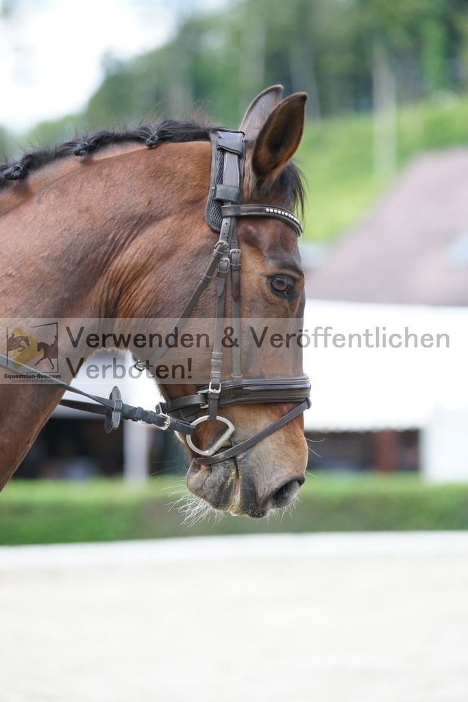 DSC05238 | equestrian-live-com