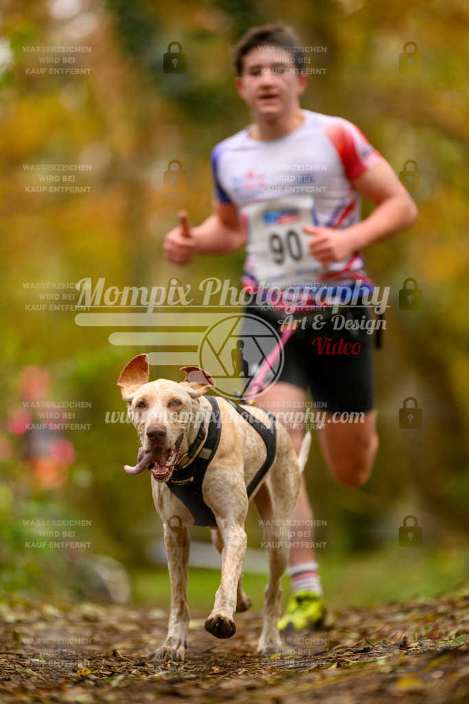 MompixPhotography_Bischwiller24_SA_Canicross-128 | PayLife