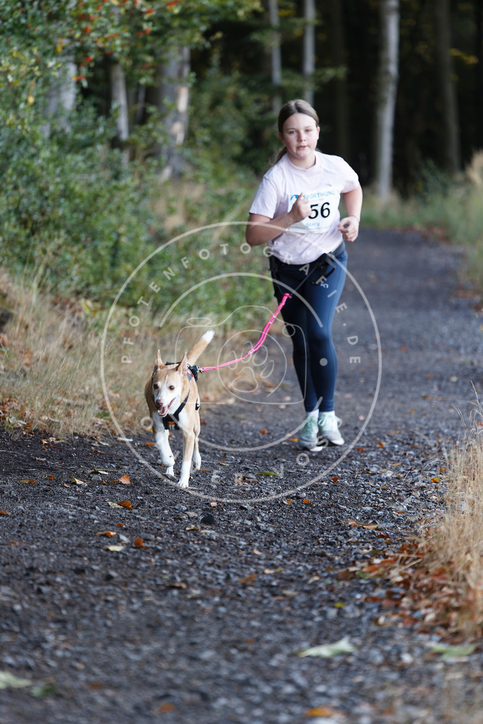 0L8A2199 | Hundefotografie, Tierfotograf, Pfotenfotografie, Fotoshooting Hund, Hunde Portrait, Hundesport, Hundeportraits, Heideshooting, Hunde, Sportfotograf, Hundefotograf, Turnierhundsport, THS,  - Realisiert mit Pictrs.com