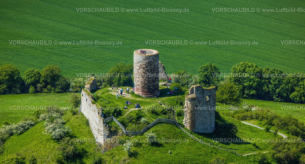 Warburg240505068BurgDesenberg | Luftbild, Burg Desenberg auf einem Vulkankegel, historische Sehenswürdigkeit, Ruine einer Höhenburg in der Warburger Börde, Besucher auf der Aussichtsplattform, Daseburg, Warburg, Ostwestfalen, Nordrhein-Westfalen, Deutschland